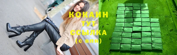 тгк Ельня