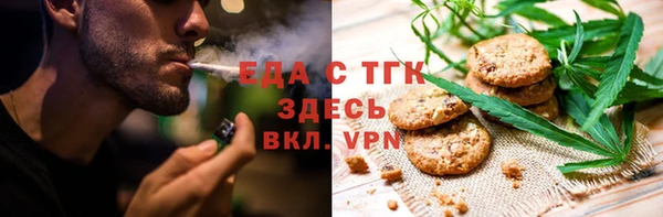 тгк Ельня