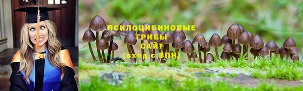прущие крисы Елабуга