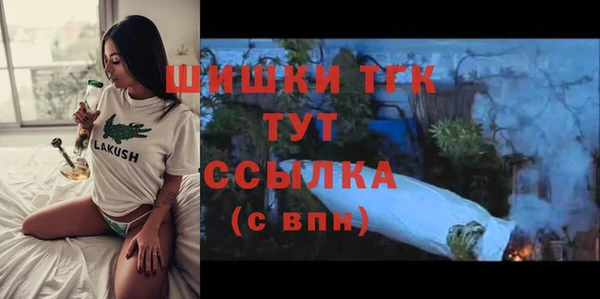 тгк Ельня