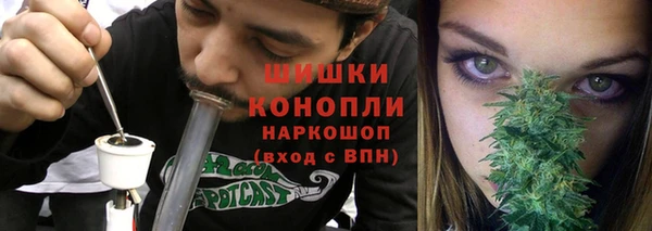 тгк Ельня