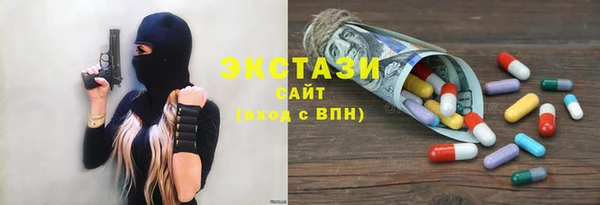 тгк Ельня