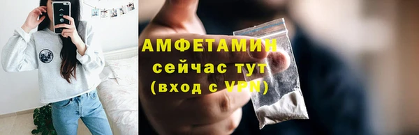 тгк Ельня