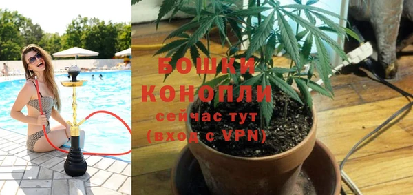 прущие крисы Елабуга