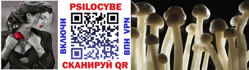Купить закладки  Инта  Галлюциногенные грибы прущие грибы 